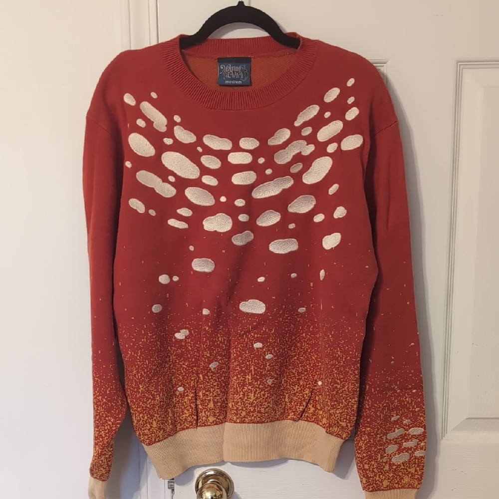 morningwitch embroidered Amanita sweater